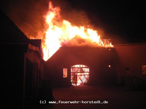 Gro�brand in Thedinghausen (Foto: Martin K�ster)