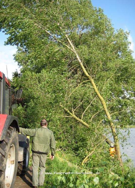 Der umgest�rzte Baum auf dem Campingplatz wird entfernt 
