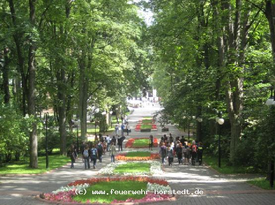 Wir gehen in den wundersch�nen Kurpark